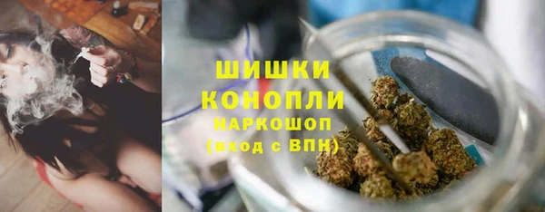 СК Аркадак