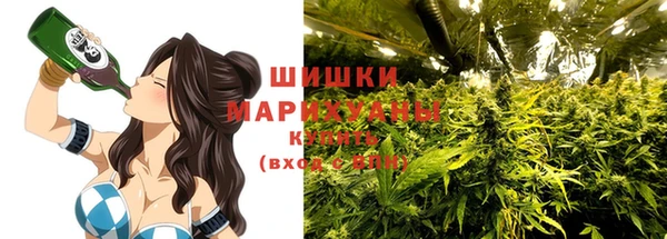 СК Аркадак