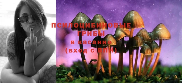 ешки Армянск