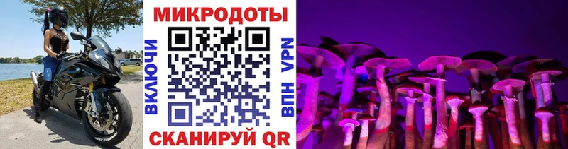 omg как войти  Суоярви  Галлюциногенные грибы ЛСД 